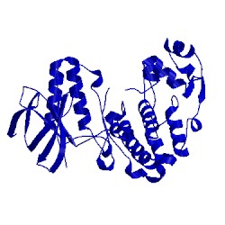 Image of CATH 3new