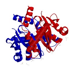 Image of CATH 3nf9