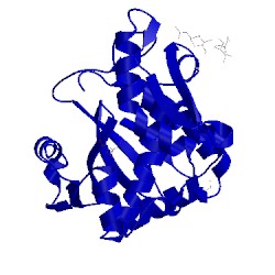 Image of CATH 3nfm