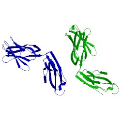 Image of CATH 3nfp