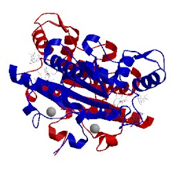 Image of CATH 3nhr
