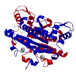 Image of CATH 3nhu