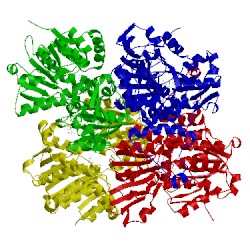 Image of CATH 3nj4