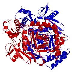 Image of CATH 3nld