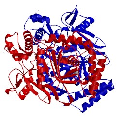 Image of CATH 3nlf