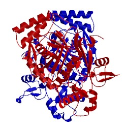 Image of CATH 3nlk