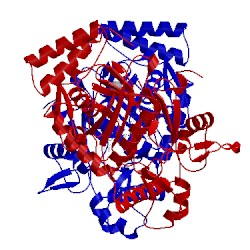 Image of CATH 3nlm