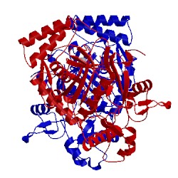 Image of CATH 3nlo