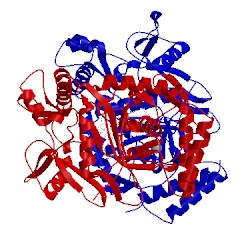 Image of CATH 3nlu