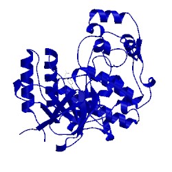 Image of CATH 3nnw