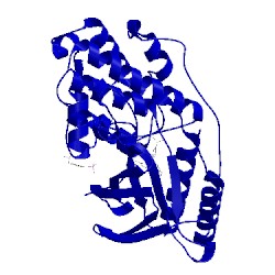 Image of CATH 3nnx