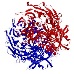Image of CATH 3nox