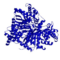 Image of CATH 3npa