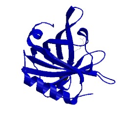 Image of CATH 3nq9