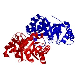 Image of CATH 3nqa