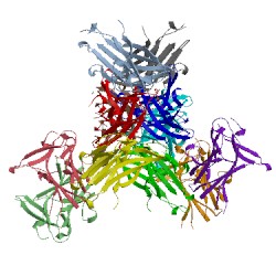 Image of CATH 3nru