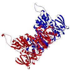 Image of CATH 3ntd