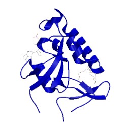 Image of CATH 3ntp