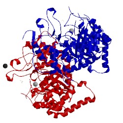 Image of CATH 3nue