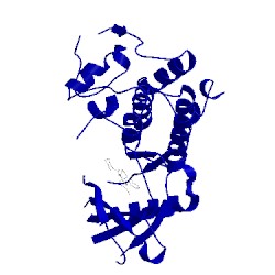 Image of CATH 3nux