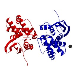 Image of CATH 3nvu