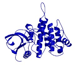 Image of CATH 3nw7