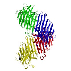 Image of CATH 3nwk