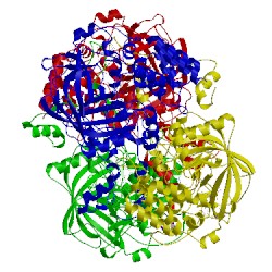 Image of CATH 3nwl