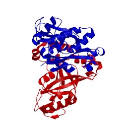 Image of CATH 3o0a