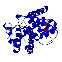Image of CATH 3o1d