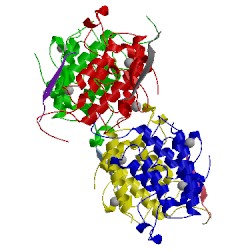 Image of CATH 3o37