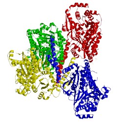 Image of CATH 3o3c