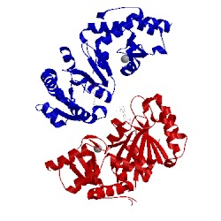 Image of CATH 3o47