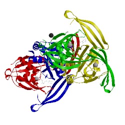 Image of CATH 3o61