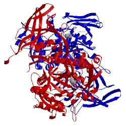 Image of CATH 3o98