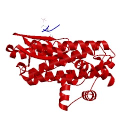 Image of CATH 3ob1