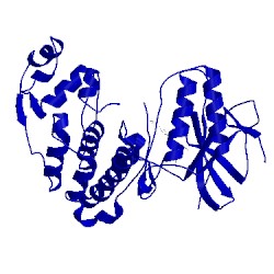 Image of CATH 3obg
