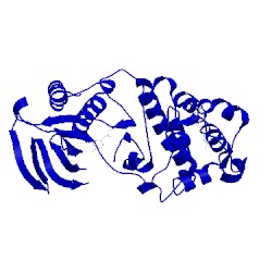 Image of CATH 3obj