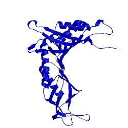 Image of CATH 3obp