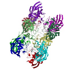 Image of CATH 3odi