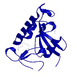 Image of CATH 3odk