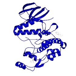 Image of CATH 3odz