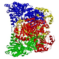 Image of CATH 3oe1
