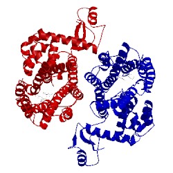 Image of CATH 3oe9