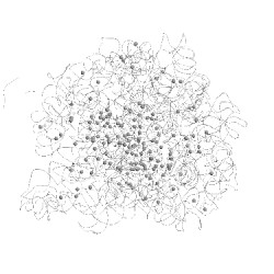 Image of CATH 3ofd