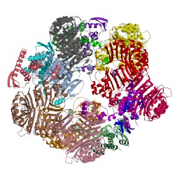 Image of CATH 3ogm