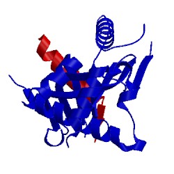Image of CATH 3oiq