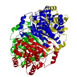 Image of CATH 3ojf