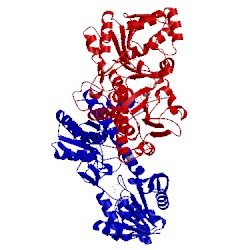 Image of CATH 3ojo