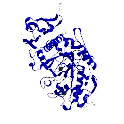 Image of CATH 3old
